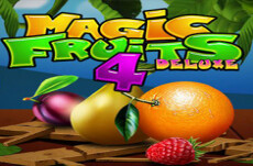 Magic Fruit 4